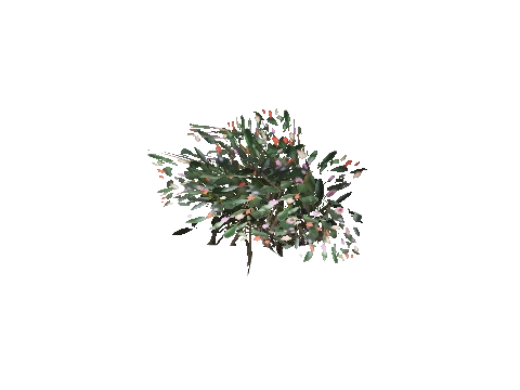 prop_plant_cane_01a