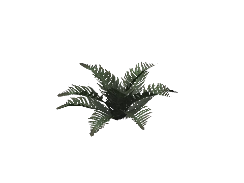 prop_plant_cane_01b