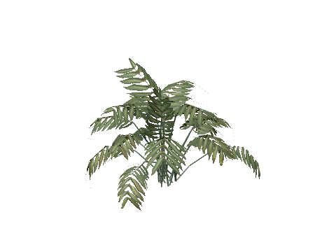 prop_plant_cane_02b