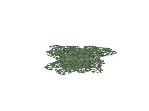 prop_plant_clover_01