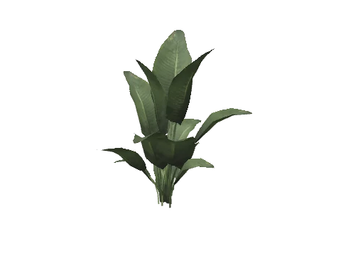 prop_plant_fern_02a