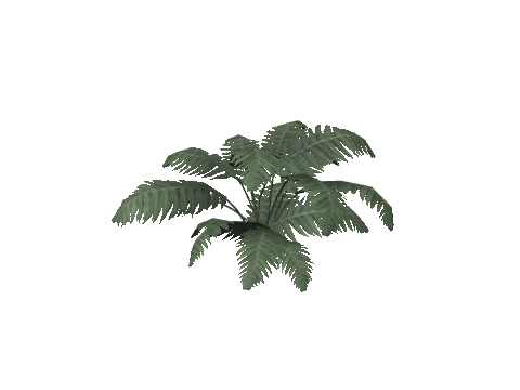 prop_plant_fern_02b