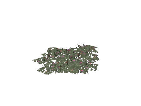 prop_plant_flower_02