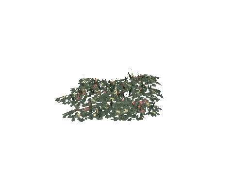 prop_plant_flower_03