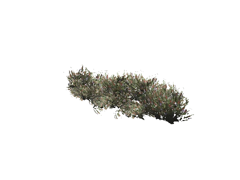 prop_plant_group_01