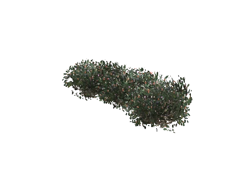 prop_plant_group_02
