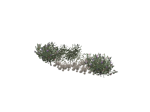 prop_plant_group_03
