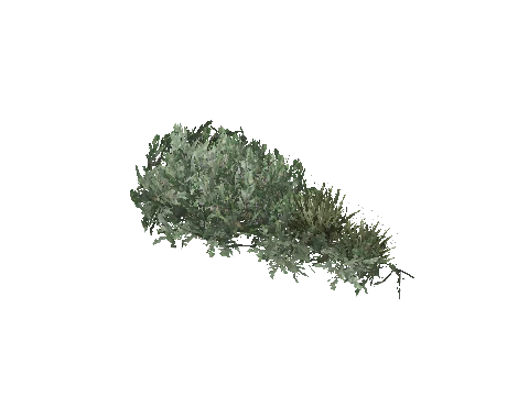 prop_plant_group_04