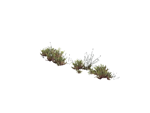 prop_plant_group_05
