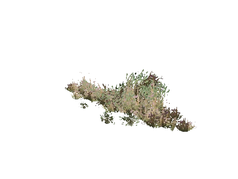 prop_plant_group_05c