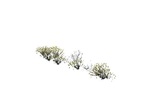prop_plant_group_05d
