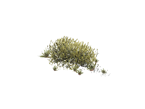 prop_plant_group_05e