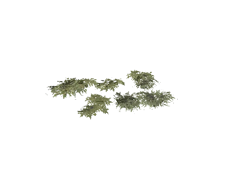 prop_plant_group_06b