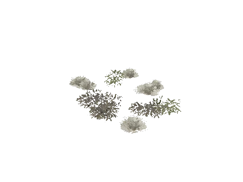 prop_plant_group_06c
