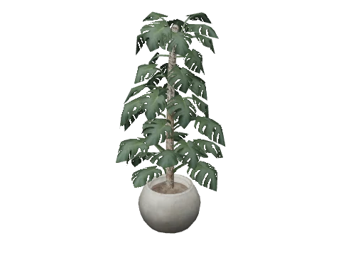 prop_plant_int_01a