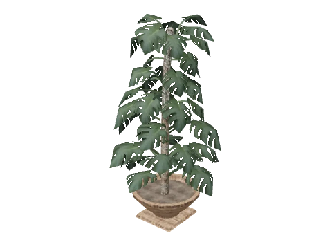 prop_plant_int_01b