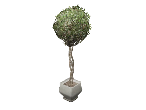 prop_plant_int_02a