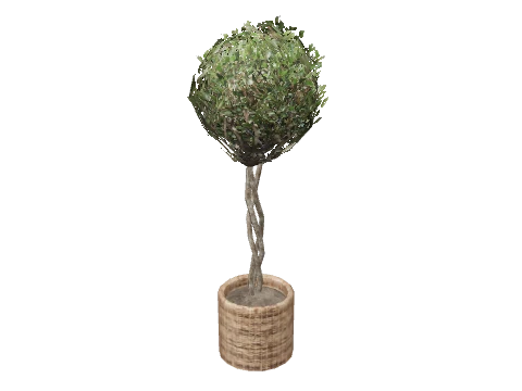 prop_plant_int_02b