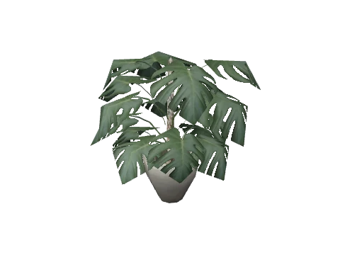 prop_plant_int_04a