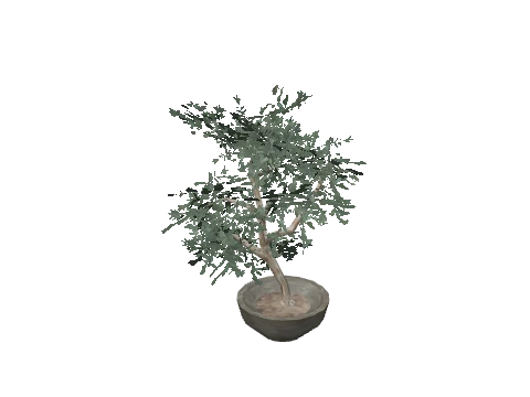 prop_plant_int_04b