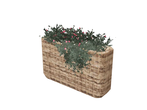 prop_plant_int_05b