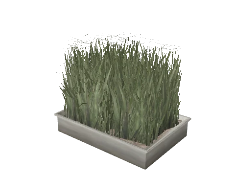 prop_plant_int_06a