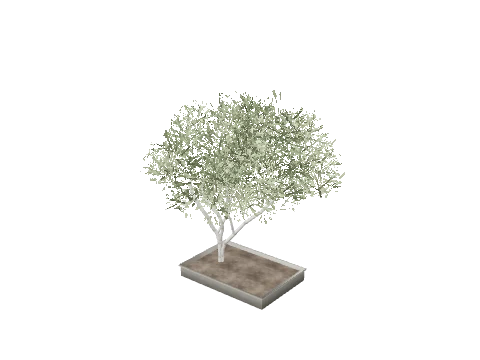 prop_plant_int_06b