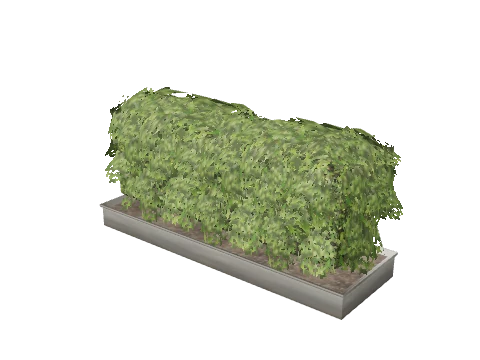 prop_plant_int_06c