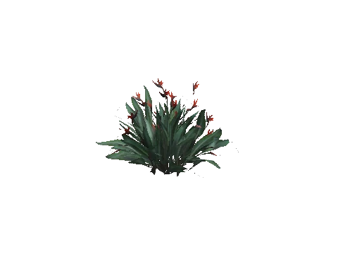 prop_plant_paradise