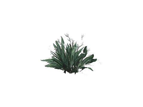 prop_plant_paradise_b