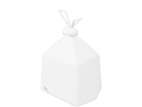 prop_poly_bag_money