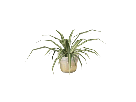 prop_pot_plant_01a