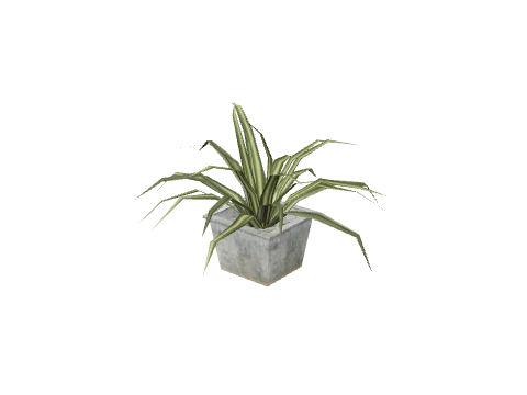 prop_pot_plant_01b