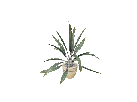 prop_pot_plant_01c