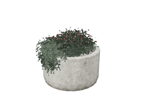 prop_pot_plant_02c