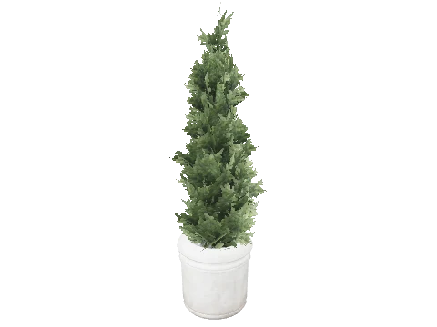 prop_pot_plant_03a