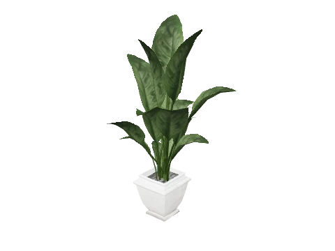 prop_pot_plant_05a