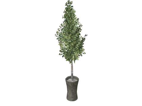 prop_pot_plant_05b