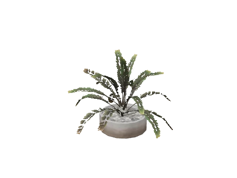prop_pot_plant_bh1