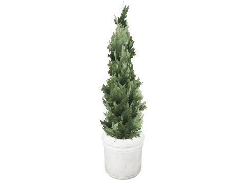 prop_pot_plant_inter_03a