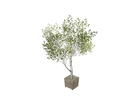 prop_prop_tree_01
