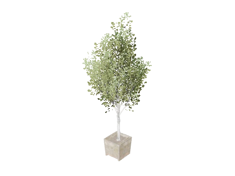 prop_prop_tree_02