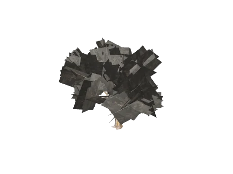 prop_rio_del_01