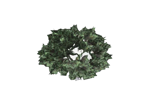 prop_rus_olive