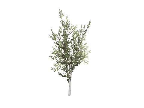 prop_sapling_break_01