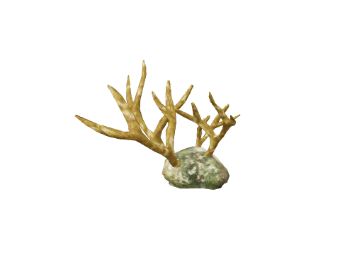 prop_seabrain_01