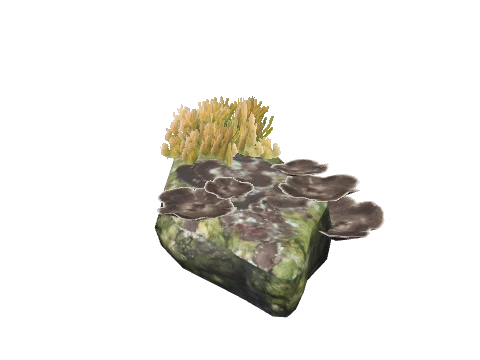 prop_seagroup_02