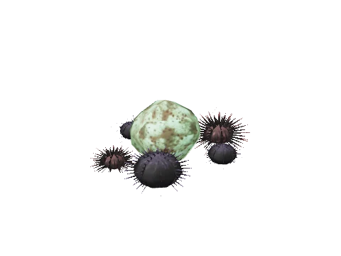 prop_sealife_01