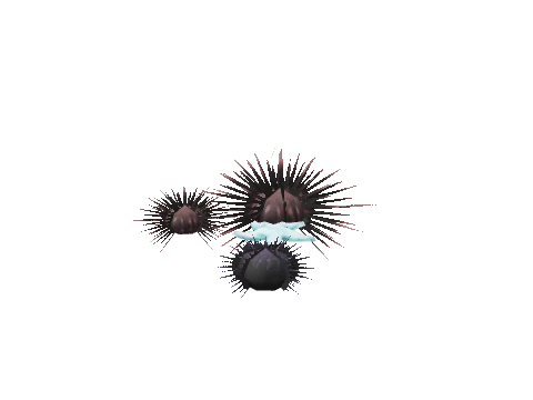 prop_sealife_02