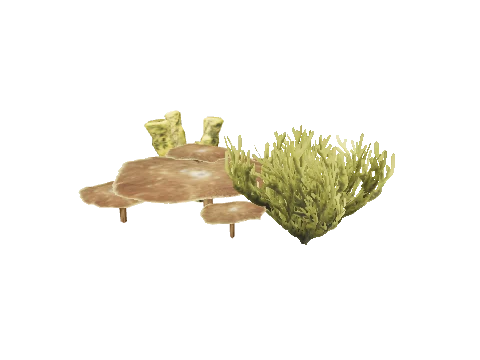 prop_seaweed_01